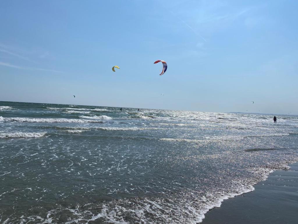 Emi Apartment Mamaia Năvodari Exteriör bild